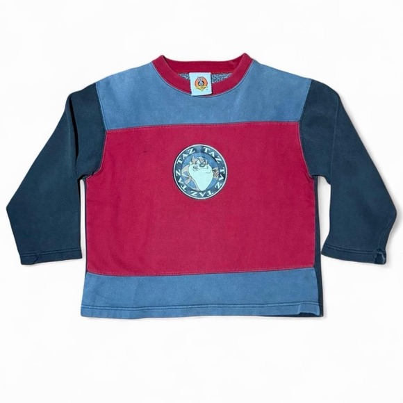 Looney Tunes Mania Other - Vintage Kids Tasmanian Devil Looney Tunes Taz Graphic Pullover Sweater Size 6